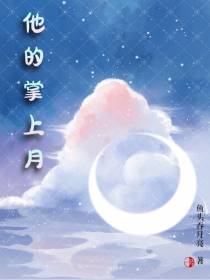 他的掌上月