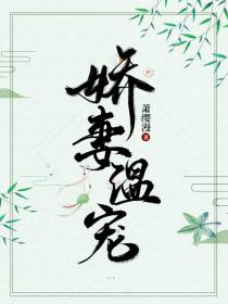 娇妻温宠