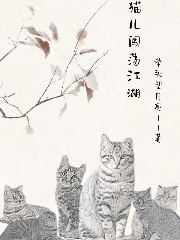 猫儿闯荡江湖