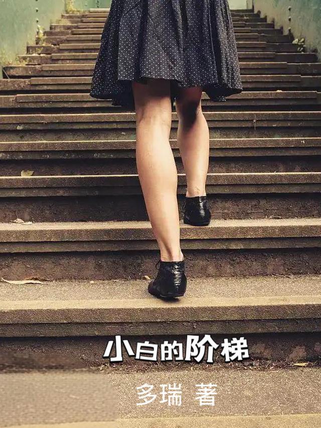 小白的阶梯