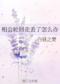 相公轮回走丢了怎么办